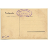 Austria: Riemannhaus (2130m) Mountain (Vintage PC  ~1910s/1920s)