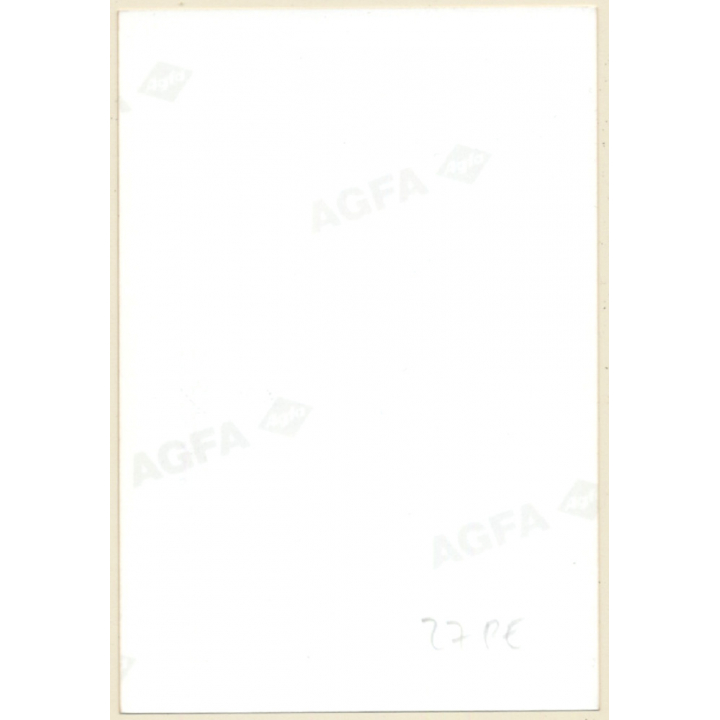 Erotic Study: Racy Darkhaired Nude At Pool*3 / On Chair (Vintage Photo ~1990s)