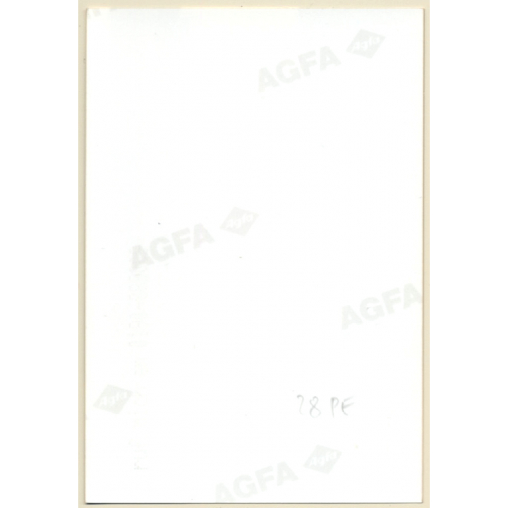 Erotic Study: Racy Darkhaired Nude At Pool*4 / Rear View (Vintage Photo ~1990s)