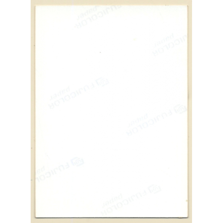 Erotic Study: Darkhaired Nude Sunbathing On Picnic Blanket (Vintage Photo ~1980s)