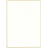 Erotic Study: Natural Androgynous Blonde Nude*7 / Boobs (Vintage Photo GDR ~1980s)