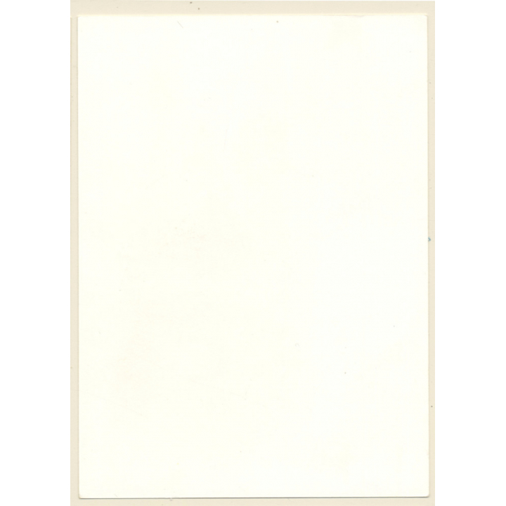 Erotic Study: Natural Androgynous Blonde Nude*8 / Rear View (Vintage Photo GDR ~1980s)