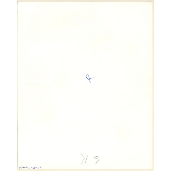 Erotic Study: Nude Interracial Couple On Flocati (Vintage Photo KORENJAK 1960s/1970s)