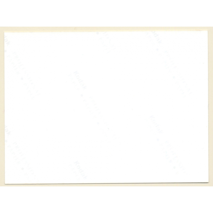 Erotic Study: Busty Chubby Semi Nude On Bed / Bra (Vintage Photo ~1980s/1990s)