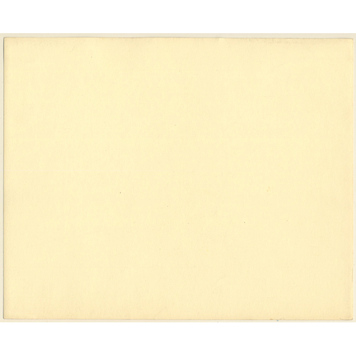 Sheep & Lamb In Front Of Horse-Drawn Carriage (Large Vintage Photo ~1910s/1920s)