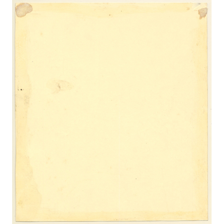 Still Life: Dahlia In Full Bloom (Large Vintage Photo ~1910s/1920s)