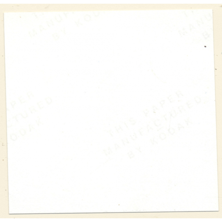 Erotic Study: Semi Nude Blonde Pin-Up Judy Moore*3 / Flashing (Vintage Contact Sheet Photo 1970s/1980s)