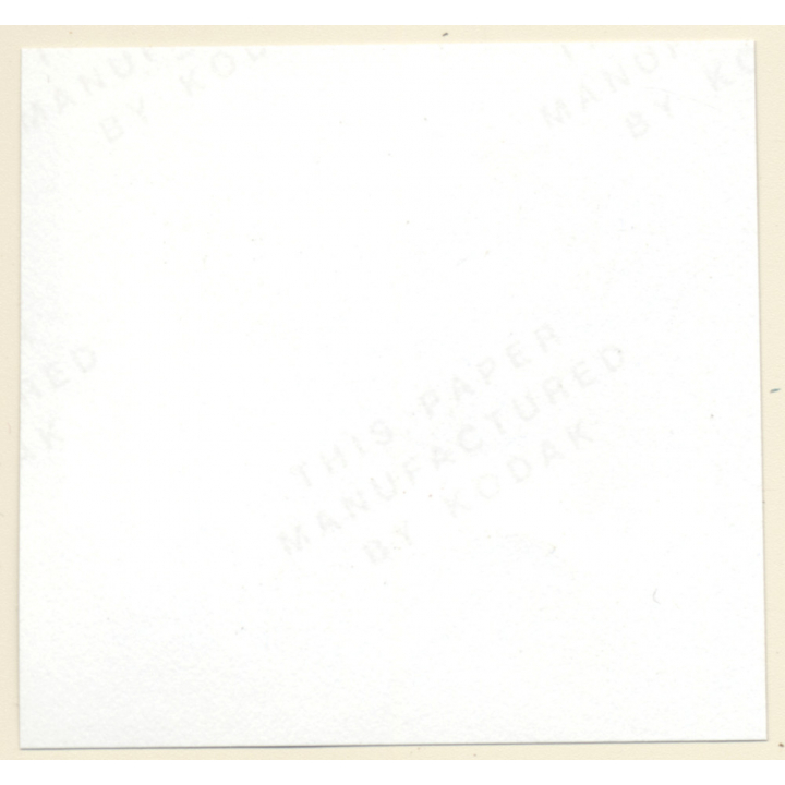 Erotic Study: Semi Nude Blonde Pin-Up Judy Moore*4 / Nylons (Vintage Contact Sheet Photo 1970s/1980s)