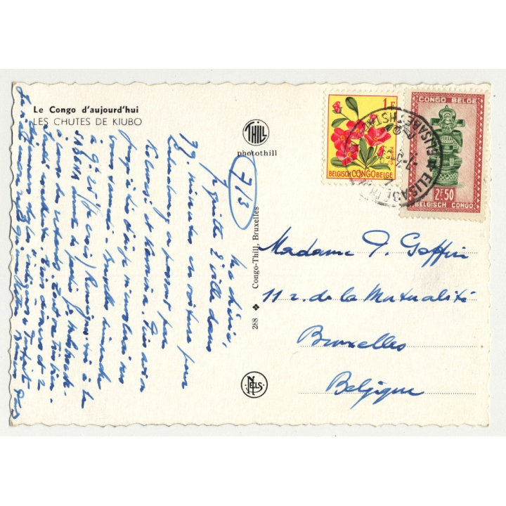 Recuerdo De Buenos Aires / Plaza 25 De Mayo (Vintage Colored Postcard 1902)