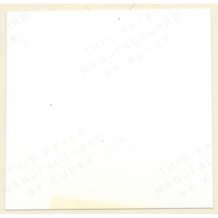 Erotic Study: Semi Nude Blonde Pin-Up Judy Moore*6 / Lifts Skirt (Vintage Contact Sheet Photo 1970s/1980s)