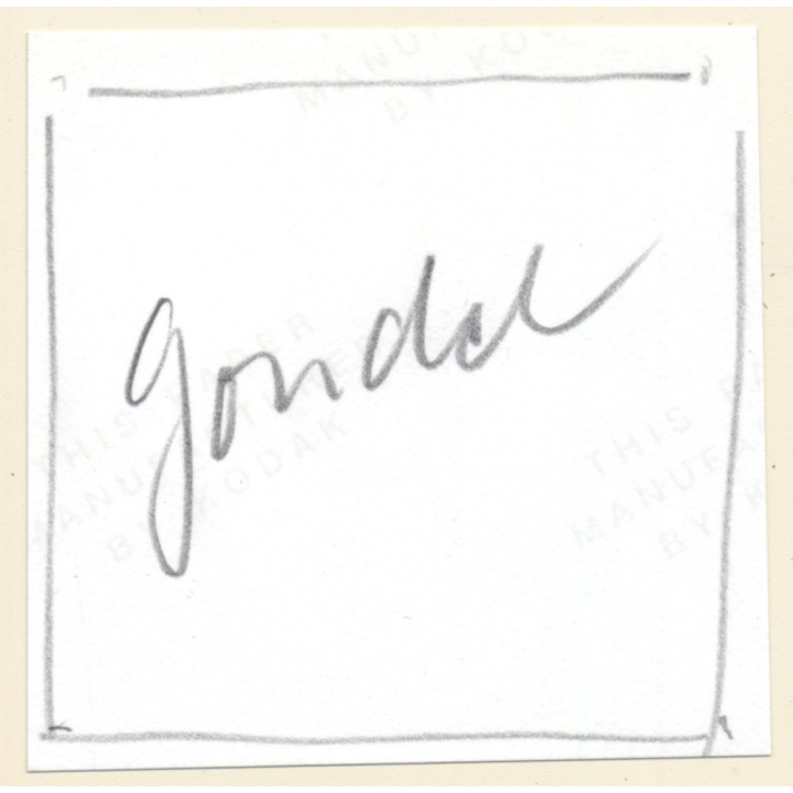 Erotic Study: Semi Nude Blonde Pin-Up Judy Moore*7 / Panties (Vintage Contact Sheet Photo 1970s/1980s)