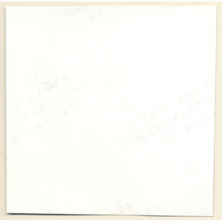 Erotic Study: Semi Nude Blonde Pin-Up Judy Moore*9 / Butt (Vintage Contact Sheet Photo 1970s/1980s)