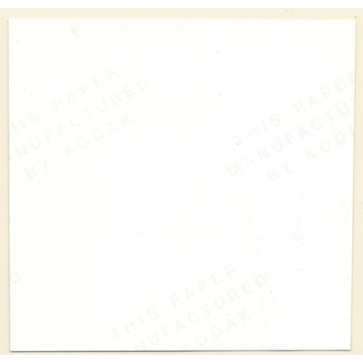 Erotic Study: Semi Nude Blonde Pin-Up Judy Moore*10 / Rear View (Vintage Contact Sheet Photo 1970s/1980s)