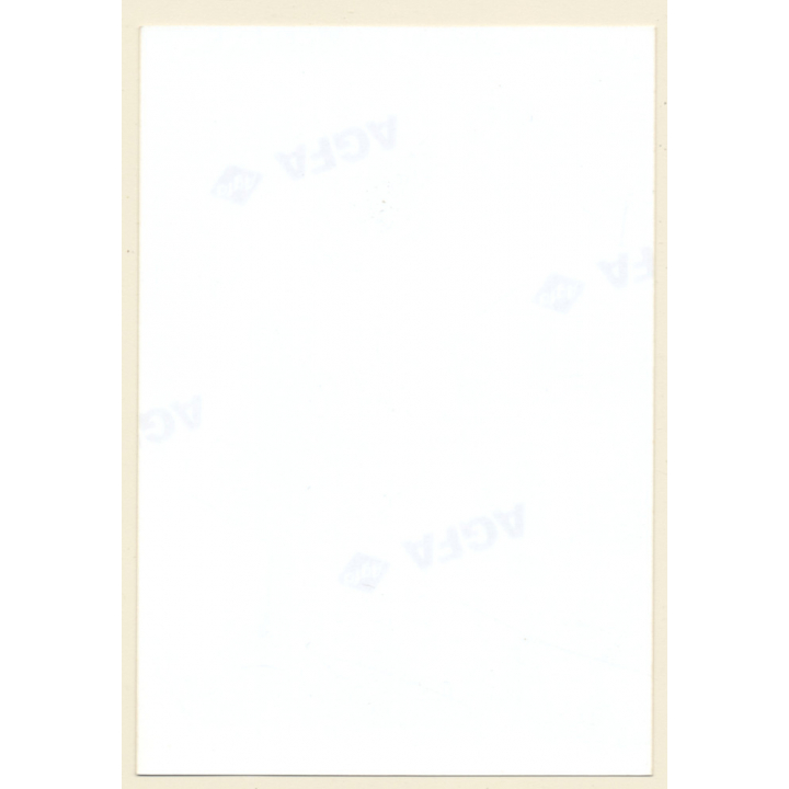 Erotic Study: Slim Darkhaired Semi Nude Outdoors*2 / White Lingerie (Vintage Photo ~1990s)