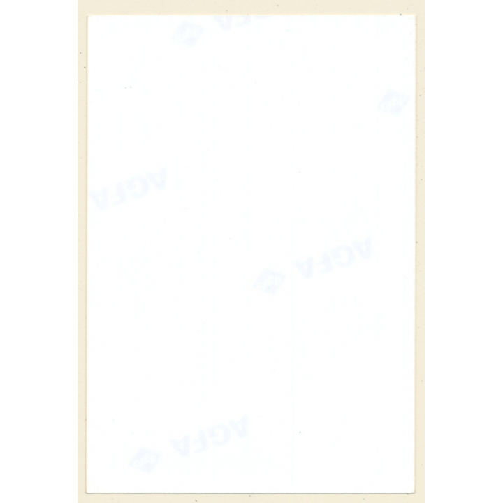 Erotic Study: Slim Darkhaired Semi Nude Outdoors*3 / Legs - Butt (Vintage Photo ~1990s)