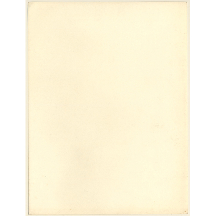 Little Girl Caressing 2 Dogs On Farm (Large Vintage Photo ~1910s/1920s)