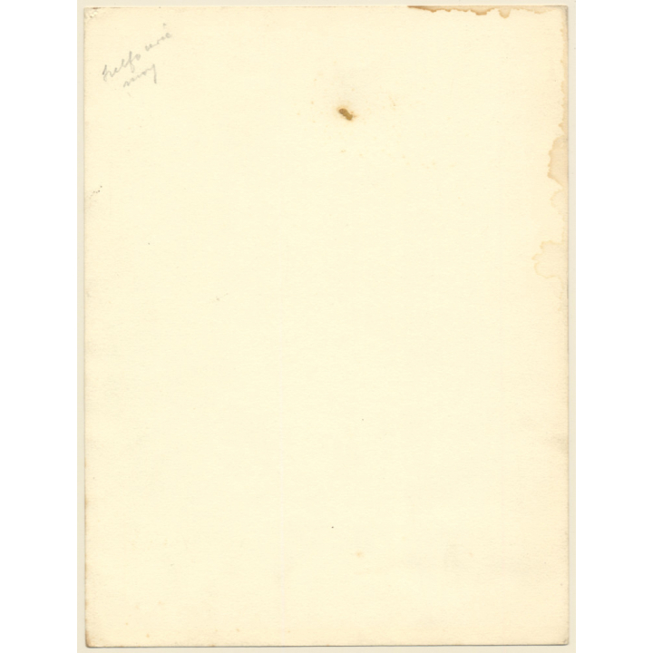 Shepherd With His Flock Of Sheep / Poblars (Large Vintage Photo ~1910s/1920s)