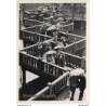 Phocigraf 82 / Bruxelles: La Chine Vue Par Les Chinois / People (Vintage Press Photo 1982)