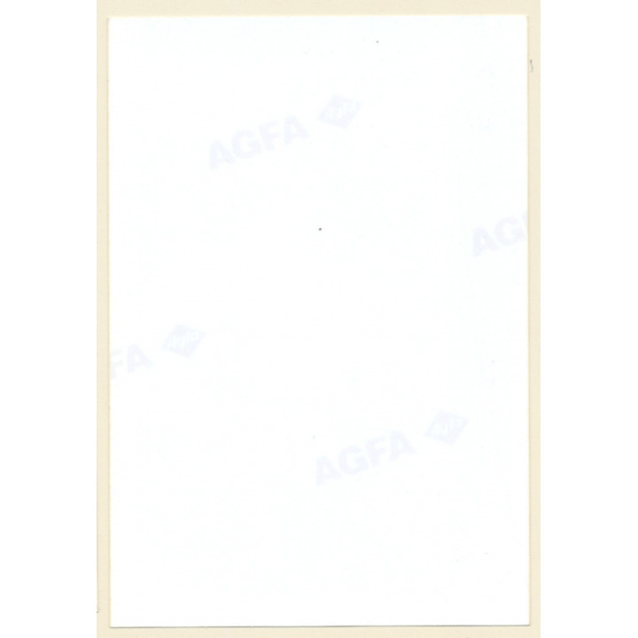 Erotic Study: Cheeky Brunette Nude With Necklace*1 / Boobs (Vintage Photo ~1990s)