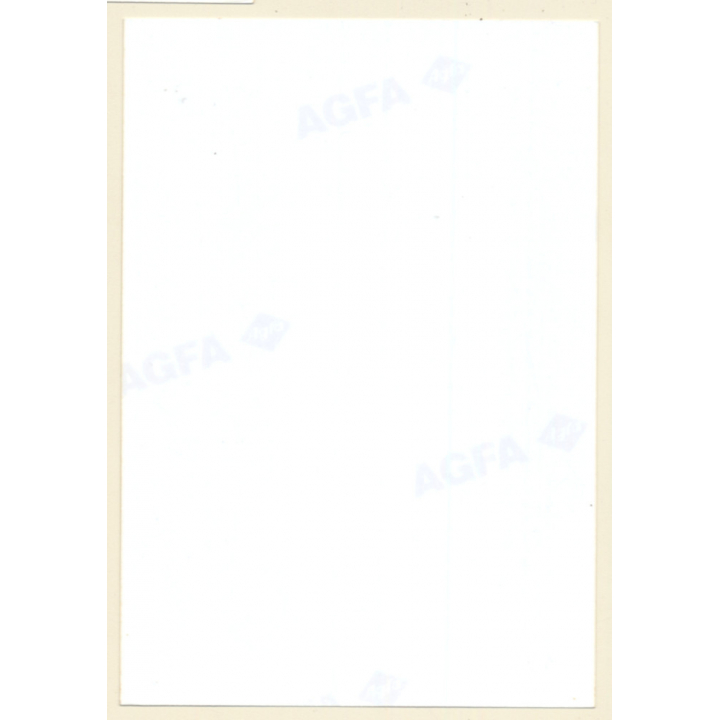 Erotic Study: Cheeky Brunette Nude With Necklace*2 / Look (Vintage Photo ~1990s)