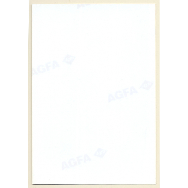 Erotic Study: Cheeky Brunette Nude With Necklace*3 / Updo (Vintage Photo ~1990s)