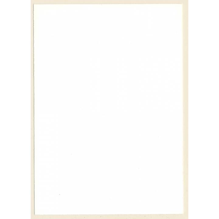 Erotic Study: 2 Funny Nudes Pose Together*1 / Hairy Armpits (Vintage Photo GDR ~1980s)