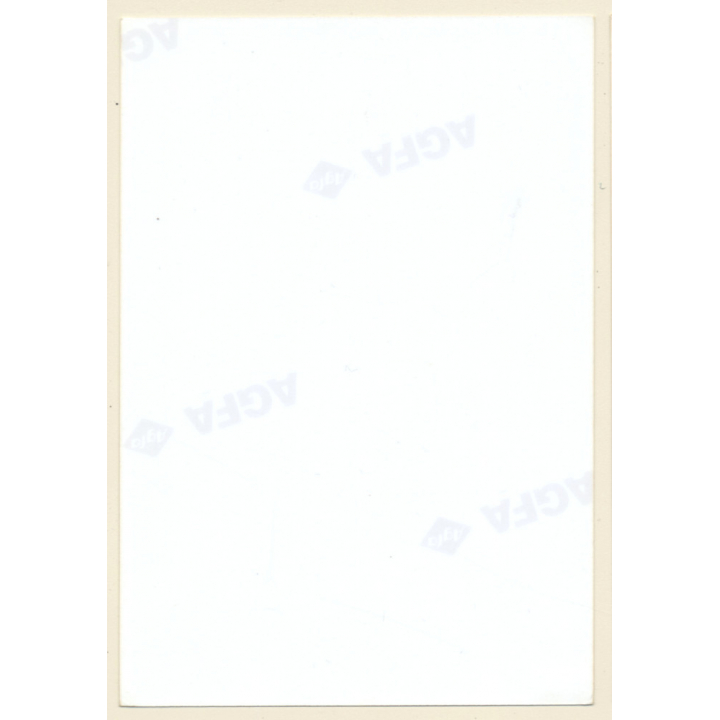 Erotic Study:  Busty Semi Nude Curlyhead / Boobs (Vintage Photo ~1990s)