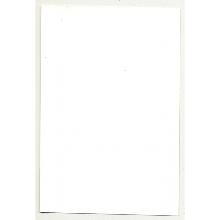 Blonde Nude With Leather Mask & Gloves / Studs (Vintage Photo DDR ~1980s)