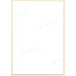 Erotic Study: Slim BLonde Semi Nude Flashes Breast / Black Lingerie (Vintage Photo ~1990s)