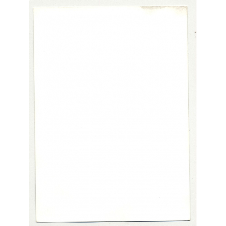 Racy Brunette Nude / Small Breast (Vintage Photo DDR ~1980s)