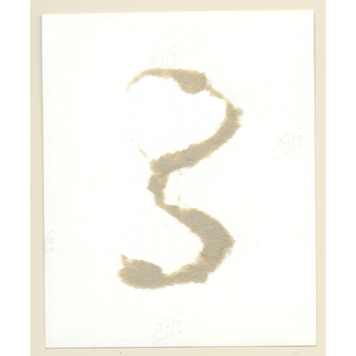 Erotic Study: Pretty Nude Pin-Up Smiles At Camera / Boobs (Vintage Photo ~1950s/1960s)