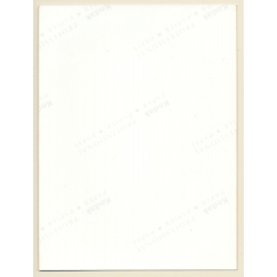 Erotic Study: Natural Busty Blonde Lifts Top / Nip Slip (Vintage Photo ~1990s)