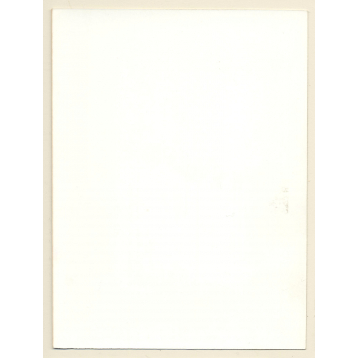 Erotic Study: Pretty Blonde Semi Nude In Transparent Lingerie*2 / Nip Slip (Vintage Photo ~1990s)