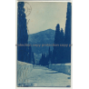 07460 Pollensa / Mallorca: 365 Escalones de Calvario (Vintage RPPC 1924)