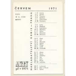 Erotic Study by A. Cvak: Topless Brunette Semi Nude / Pin-Up (Vintage Photo & Calender 1971)