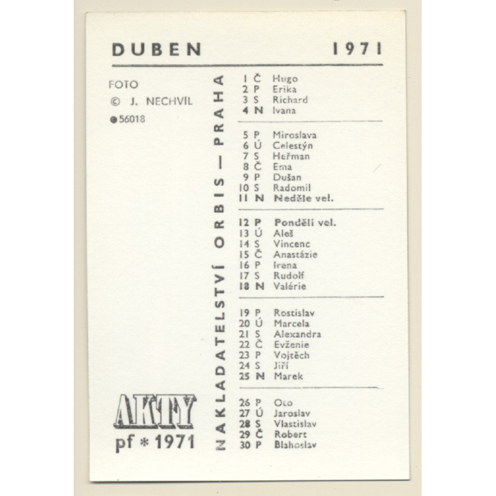 Erotic Study by J. Nechvil: Dreamy Brunette Nude / Pin-Up (Vintage Photo & Calender 1971)