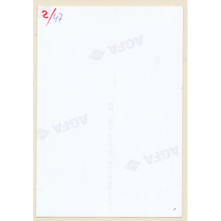 Erotic Study: Natural Slim Nude In Forest*1 / Small Boobs (Vintage Photo ~1990s)