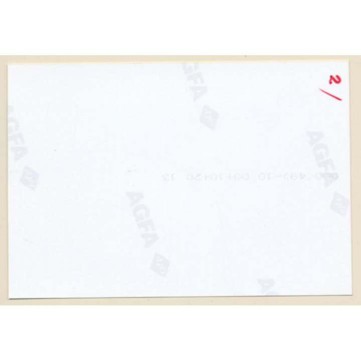 Erotic Study: Racy Slim Nude On Couch / Small Boobs (Vintage Photo ~1990s)