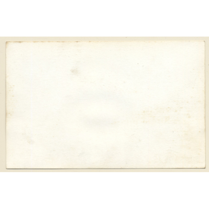 Pretty Brunette Pin-Up Girl In Bikini*2 / Beehive (Vintage Photo Czechia ~1960s)