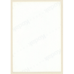 Erotic Study: Slim Pretty Dark-Skinned Nude*4 / Busty (Vintage Photo ~1990s)