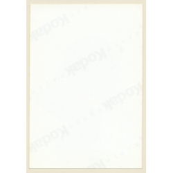 Erotic Study: Slim Pretty Dark-Skinned Nude*28 / Sideview (Vintage Photo ~1990s)