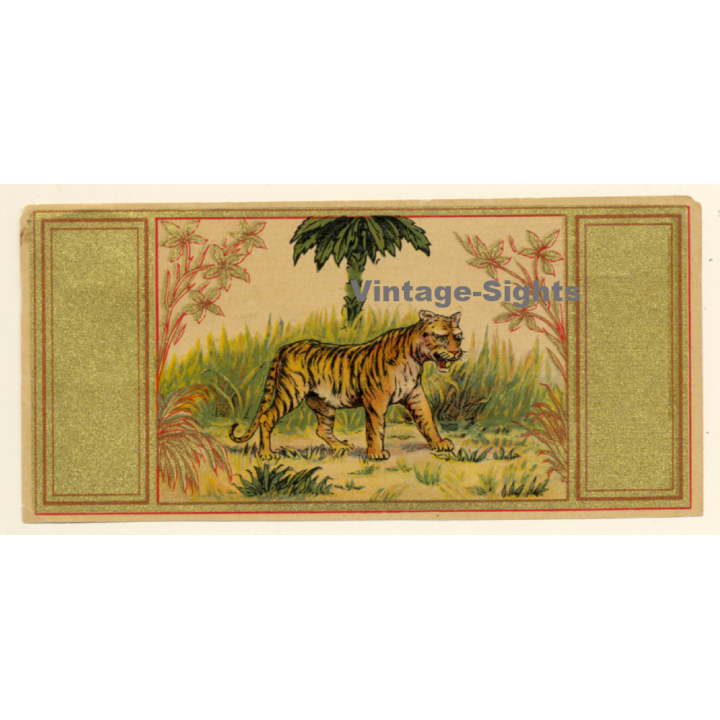 Tiger In Front Of Palm Tree (Vintage Chromo Litho Label ~1910/1920s)