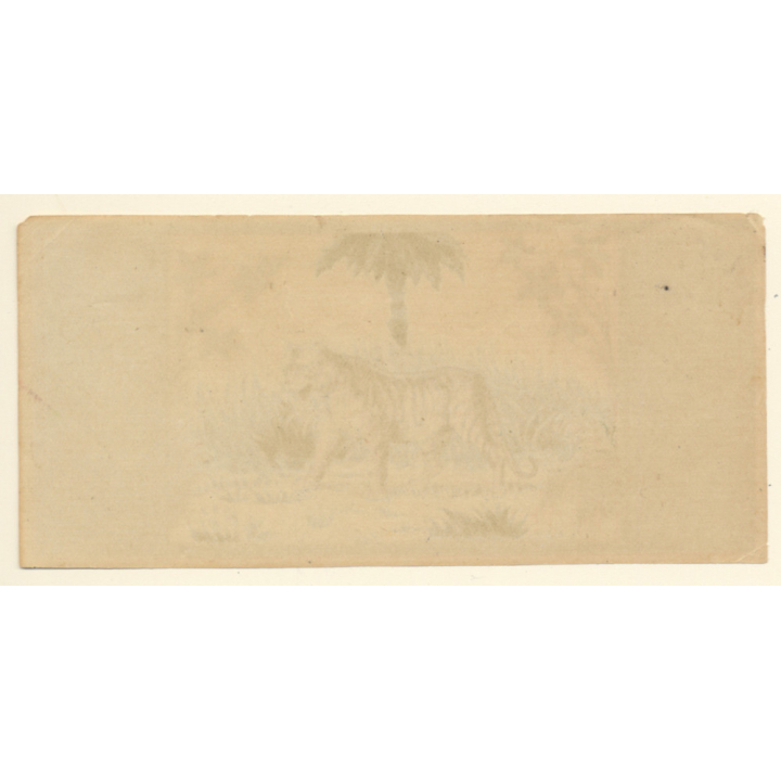 Tiger In Front Of Palm Tree (Vintage Chromo Litho Label ~1910/1920s)