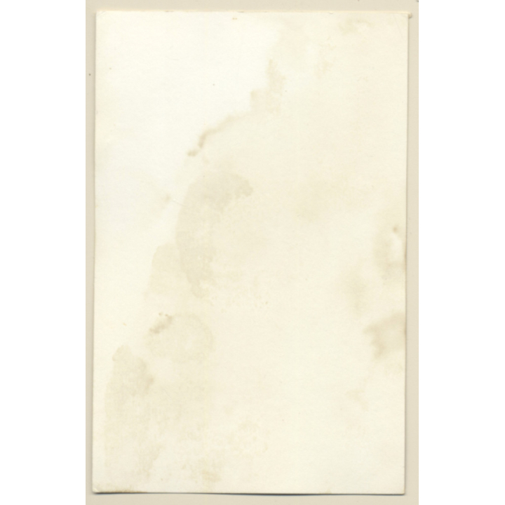 Erotic Study: Beautiful Busty Longhaired Nude Standing (Vintage Photo GDR ~1980s)