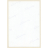 Erotic Study: Natural Blonde Nude Curlyhead *3 / Back (Vintage Photo ~1980s)