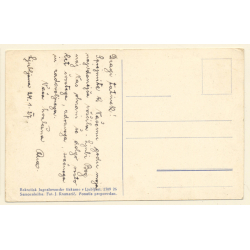 Ljubljana - Laibach / Slovenia: Stolnica (Vintage PC 1928)