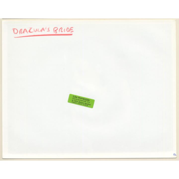 Kay Parker In Dracula's Bride / US Adult Movie 1980 (Vintage Press Photo/Movie Still)