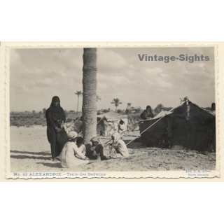 Alexandria / Egypt: Bedouin Tents - Nomads / Ethnic (Vintage RPPC ~1930s)