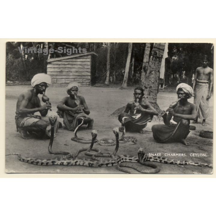 Ceylon / Sri Lanka: Snake Charmers (Vintage RPPC ~1930s)