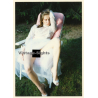 Erotic Study: Brunette Semi Nude On Garden Lounger / White Dress (Vintage Photo ~1990s)